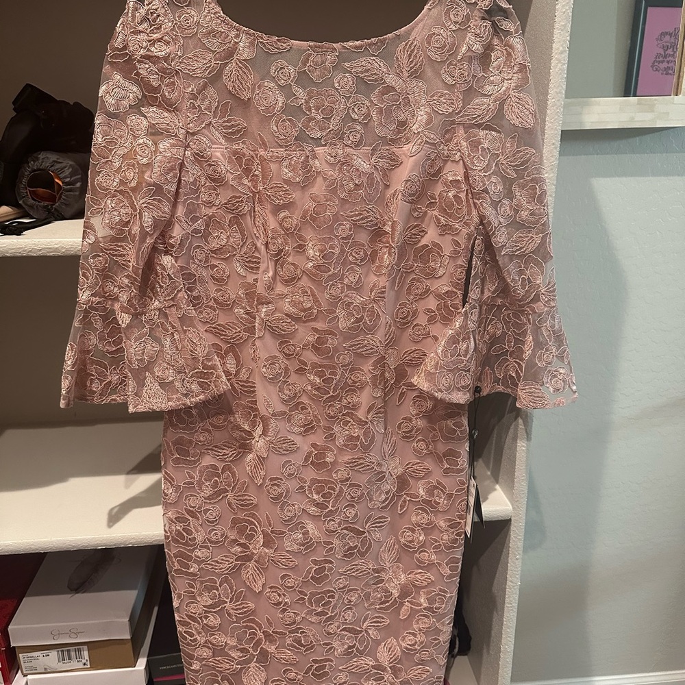 NWT Adrianna Papell Blush Floral Lace Dress